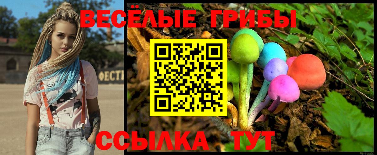 Вязьма  Псилоцибиновые грибы GOLDEN TEACHER  Вход с VPN 
